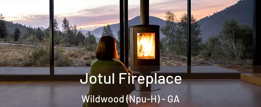 Jotul Fireplace Wildwood (Npu-H) - GA