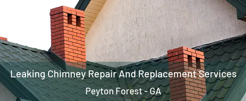 Leaking Chimney Repair And Replacement Services Peyton Forest - GA