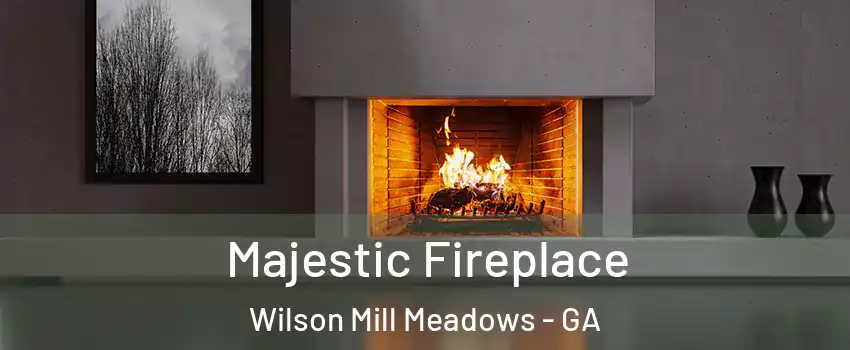 Majestic Fireplace Wilson Mill Meadows - GA