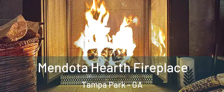 Mendota Hearth Fireplace Tampa Park - GA