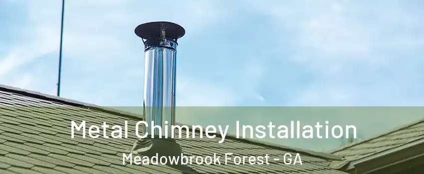 Metal Chimney Installation Meadowbrook Forest - GA