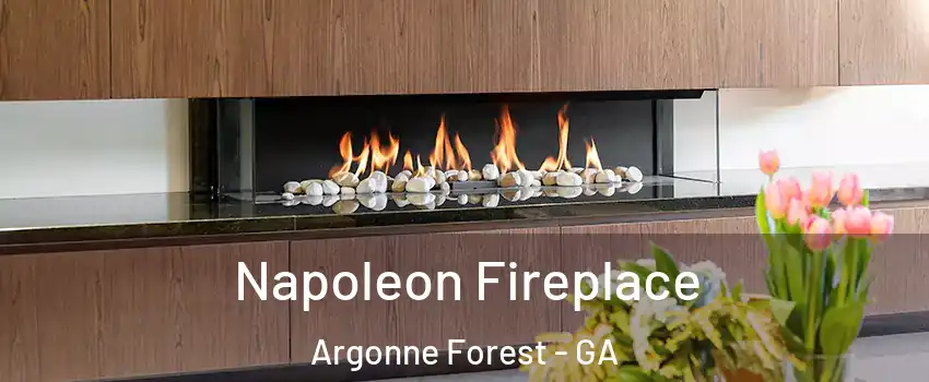 Napoleon Fireplace Argonne Forest - GA