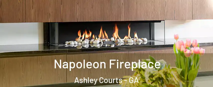Napoleon Fireplace Ashley Courts - GA