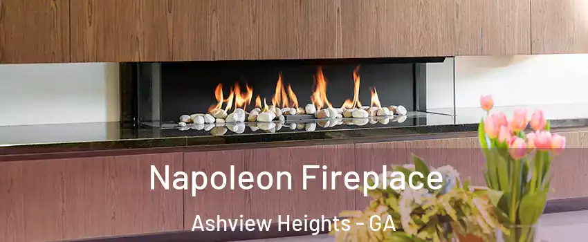 Napoleon Fireplace Ashview Heights - GA