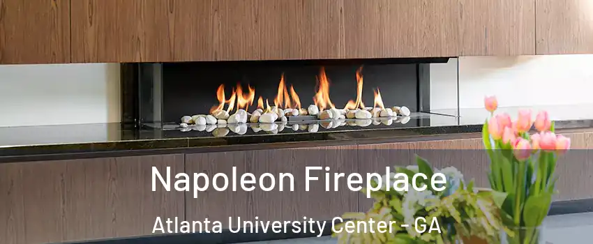Napoleon Fireplace Atlanta University Center - GA