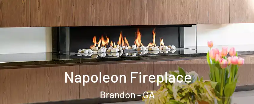 Napoleon Fireplace Brandon - GA