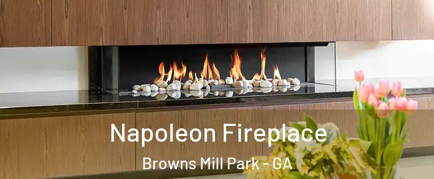 Napoleon Fireplace Browns Mill Park - GA