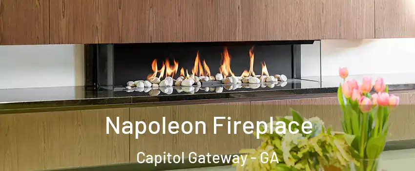 Napoleon Fireplace Capitol Gateway - GA