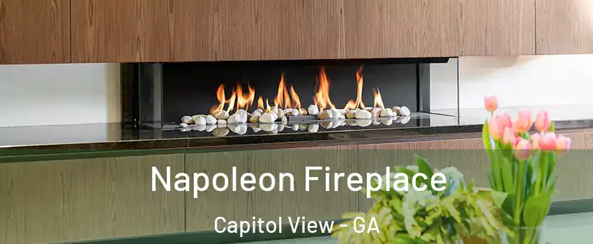 Napoleon Fireplace Capitol View - GA