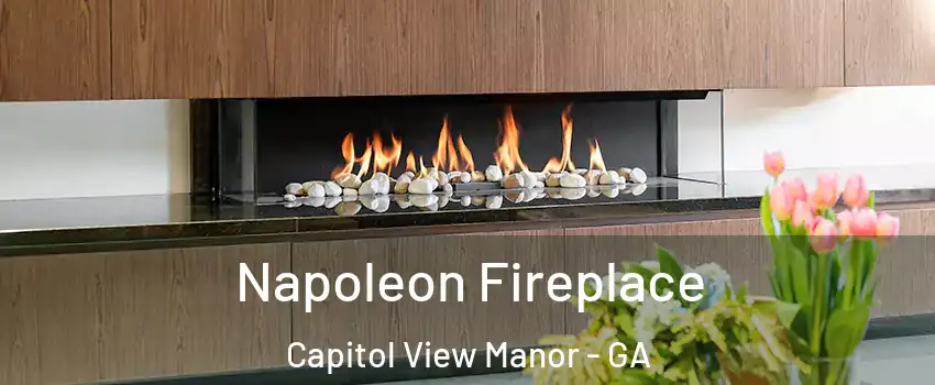 Napoleon Fireplace Capitol View Manor - GA