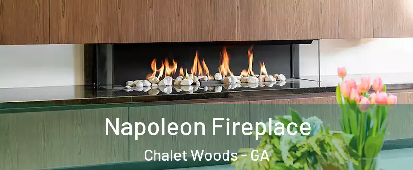 Napoleon Fireplace Chalet Woods - GA
