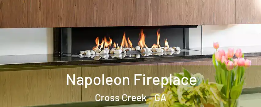 Napoleon Fireplace Cross Creek - GA
