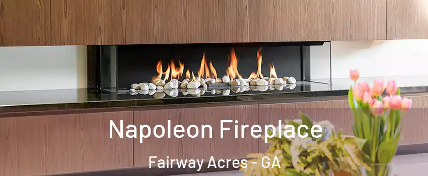 Napoleon Fireplace Fairway Acres - GA