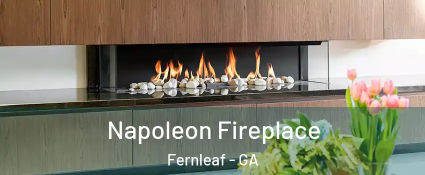 Napoleon Fireplace Fernleaf - GA