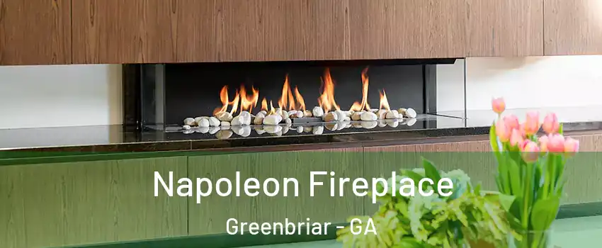 Napoleon Fireplace Greenbriar - GA