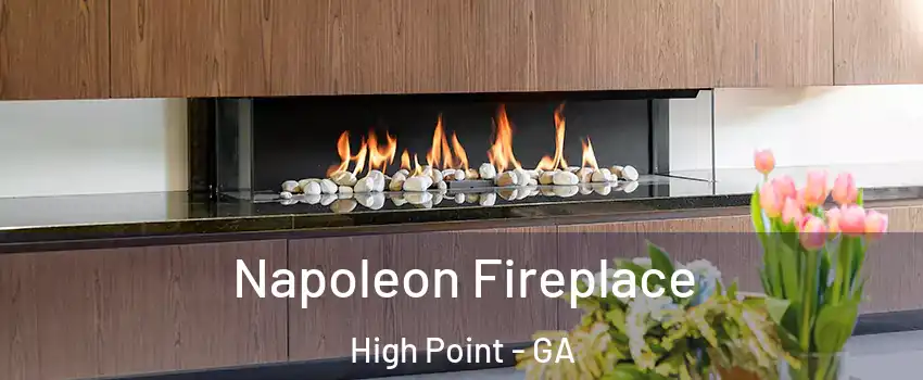 Napoleon Fireplace High Point - GA