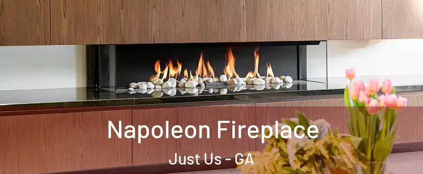 Napoleon Fireplace Just Us - GA
