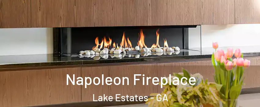 Napoleon Fireplace Lake Estates - GA