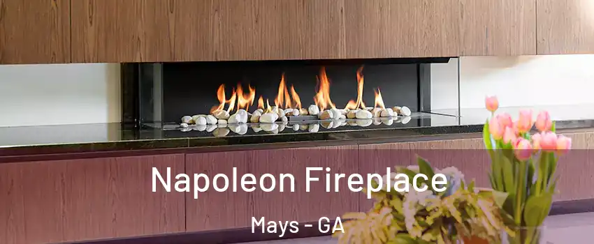 Napoleon Fireplace Mays - GA