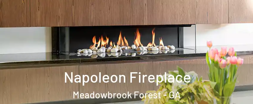 Napoleon Fireplace Meadowbrook Forest - GA