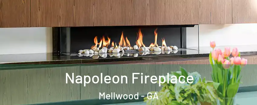 Napoleon Fireplace Mellwood - GA