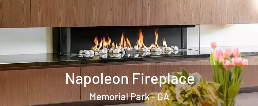 Napoleon Fireplace Memorial Park - GA