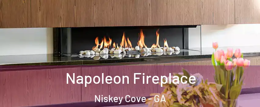 Napoleon Fireplace Niskey Cove - GA