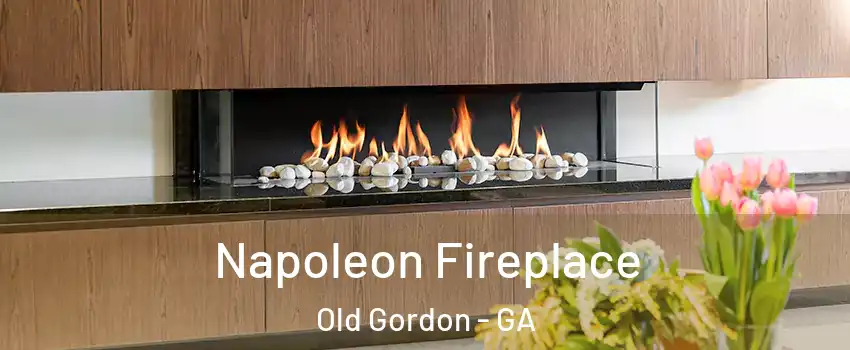 Napoleon Fireplace Old Gordon - GA
