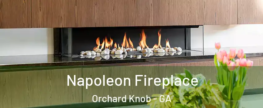 Napoleon Fireplace Orchard Knob - GA