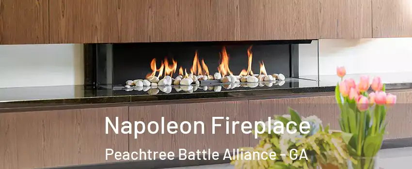 Napoleon Fireplace Peachtree Battle Alliance - GA