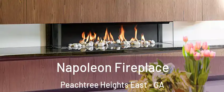 Napoleon Fireplace Peachtree Heights East - GA