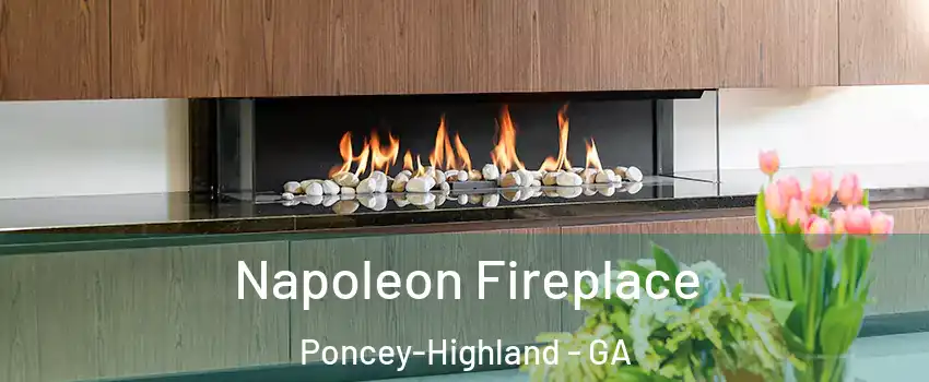 Napoleon Fireplace Poncey-Highland - GA