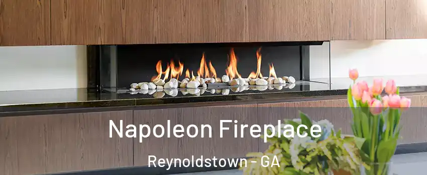 Napoleon Fireplace Reynoldstown - GA