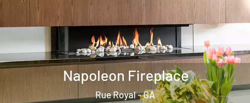 Napoleon Fireplace Rue Royal - GA