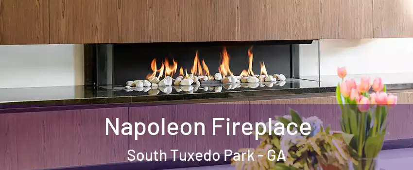 Napoleon Fireplace South Tuxedo Park - GA