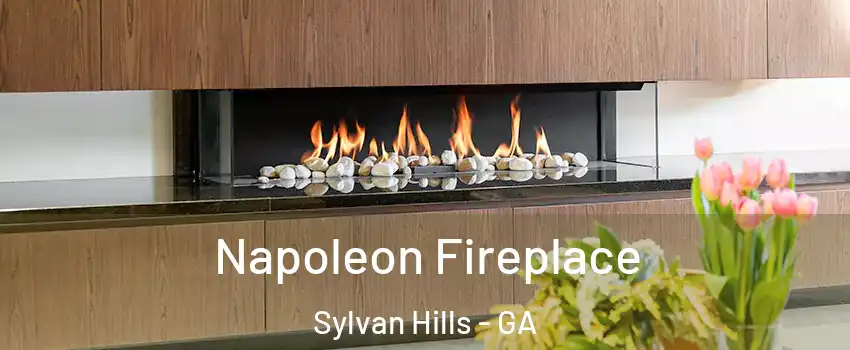 Napoleon Fireplace Sylvan Hills - GA