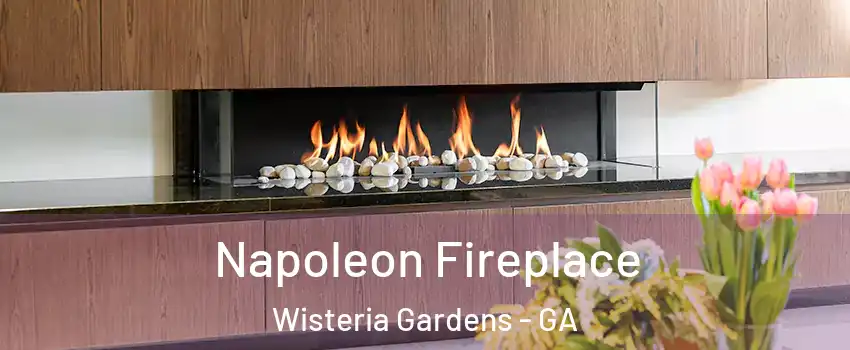 Napoleon Fireplace Wisteria Gardens - GA