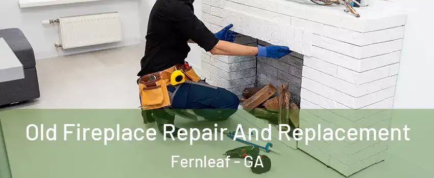 Old Fireplace Repair And Replacement Fernleaf - GA