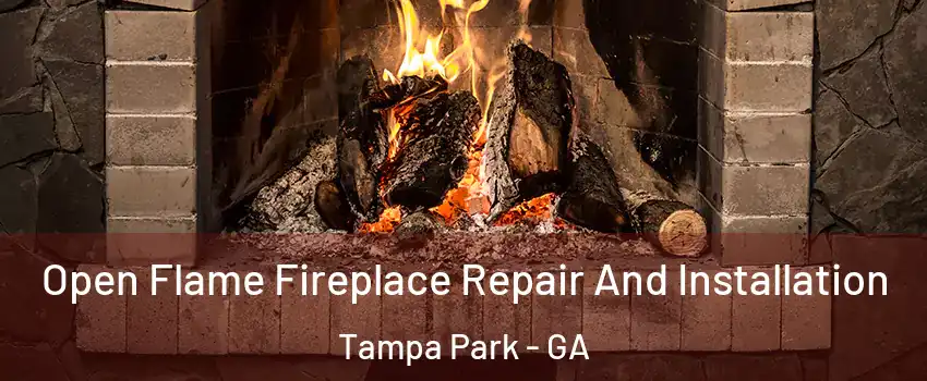 Open Flame Fireplace Repair And Installation Tampa Park - GA