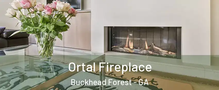 Ortal Fireplace Buckhead Forest - GA