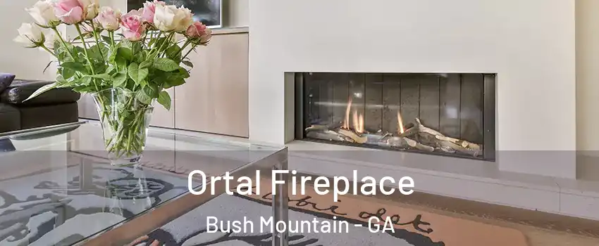 Ortal Fireplace Bush Mountain - GA