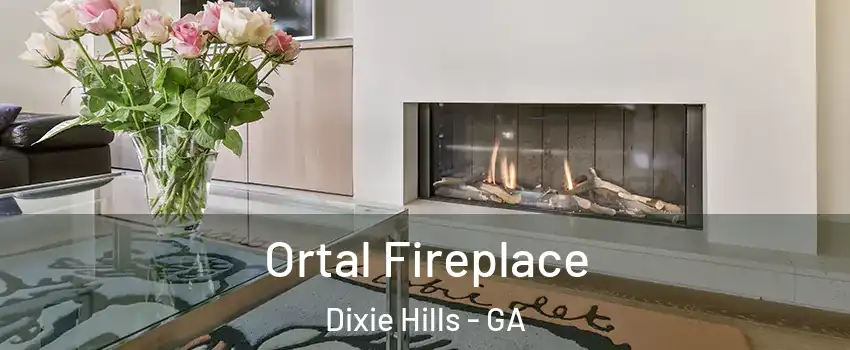 Ortal Fireplace Dixie Hills - GA