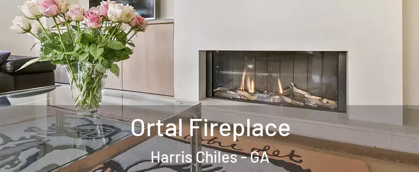 Ortal Fireplace Harris Chiles - GA