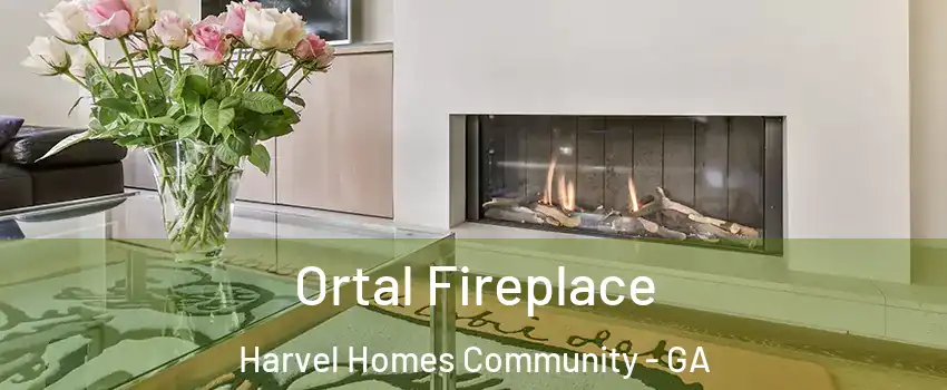 Ortal Fireplace Harvel Homes Community - GA