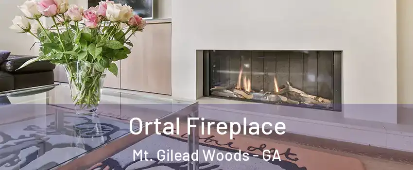 Ortal Fireplace Mt. Gilead Woods - GA