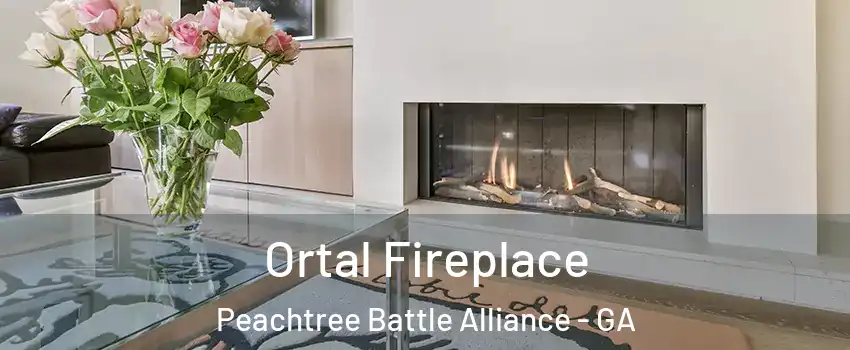 Ortal Fireplace Peachtree Battle Alliance - GA