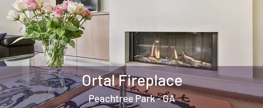 Ortal Fireplace Peachtree Park - GA