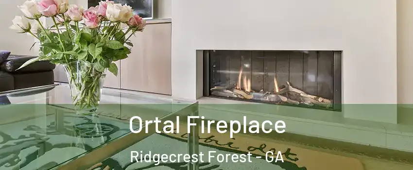 Ortal Fireplace Ridgecrest Forest - GA