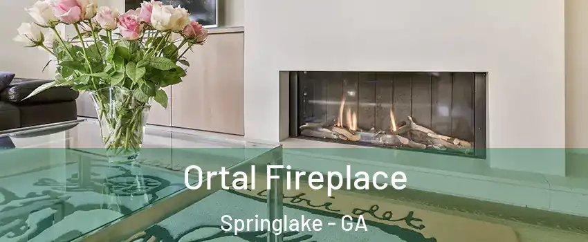 Ortal Fireplace Springlake - GA