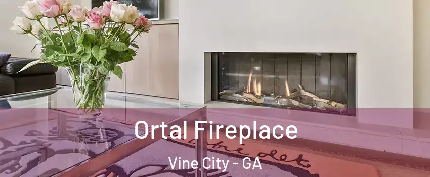 Ortal Fireplace Vine City - GA